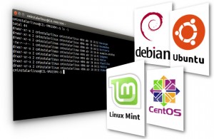 Centos debian ubuntu что лучше